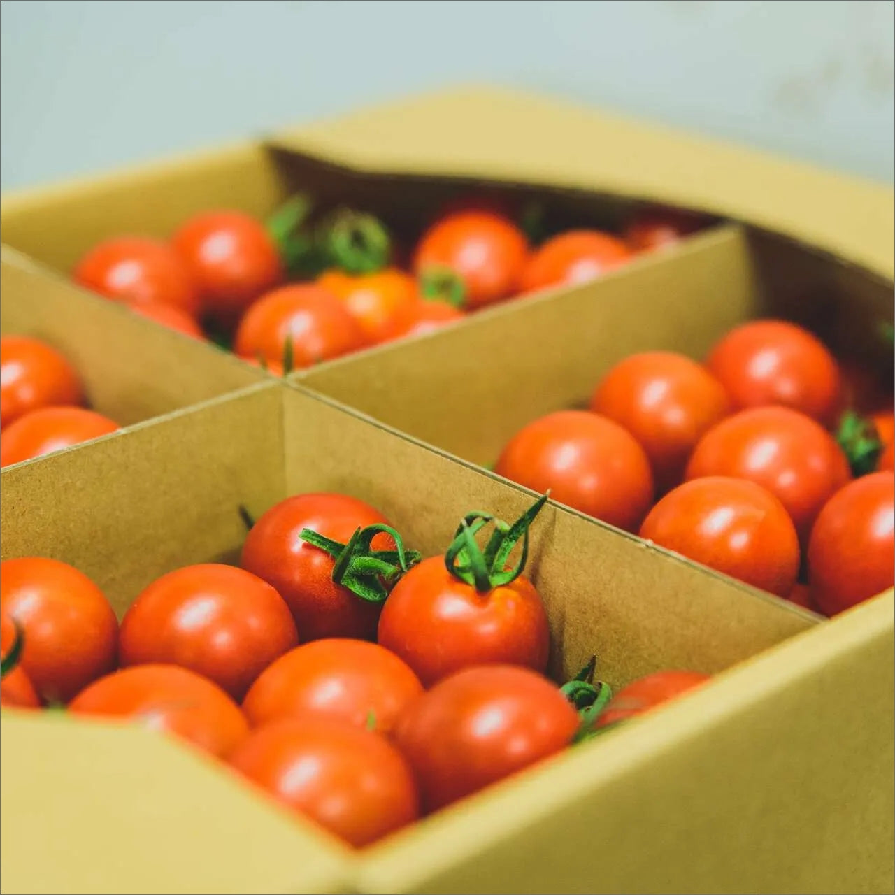 NKKアグリドリーム『スーパーフルーツトマト』 - 東京青果株式会社