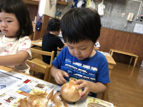 Kit2人前 子どもよろこぶ！ポークハヤシライス有機野菜 通販 Ｏｉｓｉｘ おいしっくす