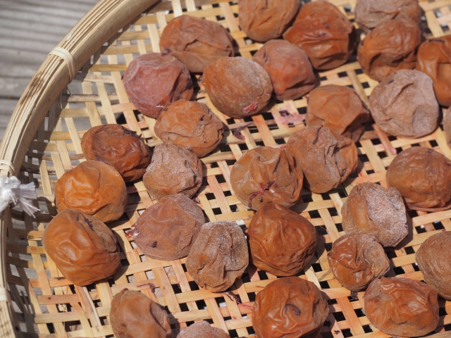 Amazonイシミズ Ishimizu天日干し用布 『梅干し作りに』 梅布 88cm 00545ふきん オンライン通販