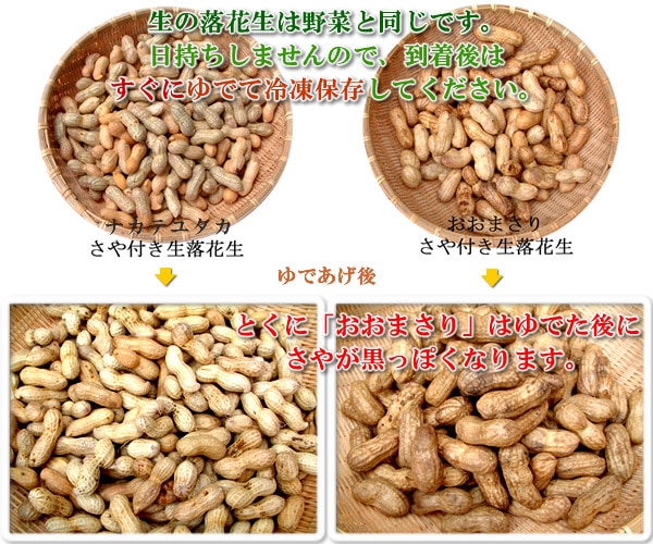 冷凍ゆでピーナッツ・ゆで落花生の解凍・保存のやり方教えます