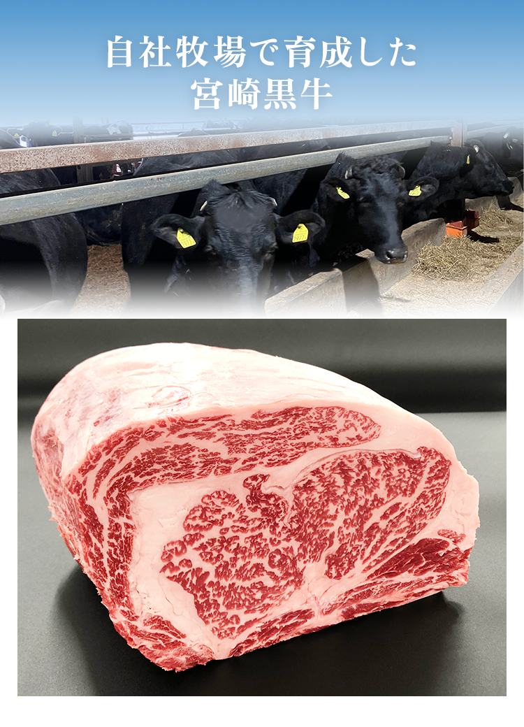 ミスジ 真ん中に筋が通ってる葉っぱのような見た目の牛肉牛肉ガイドブック