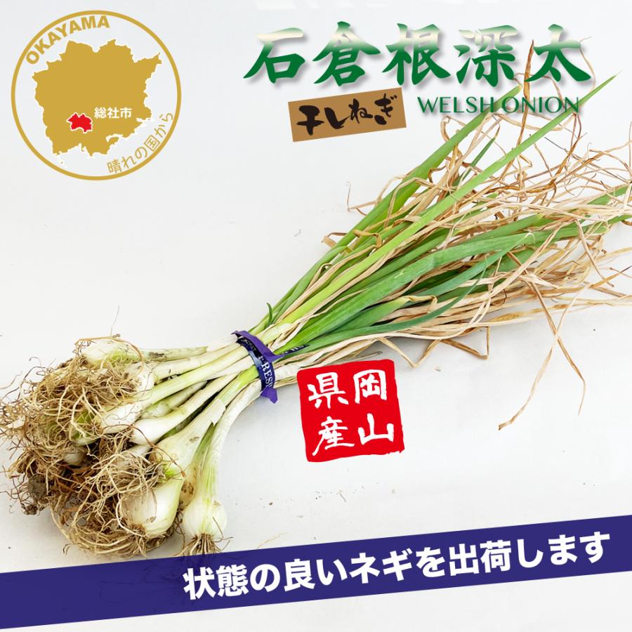 根深ねぎの写真・イラスト素材一覧 10,029件ストックフォトの Qlean Market キュリンマーケット