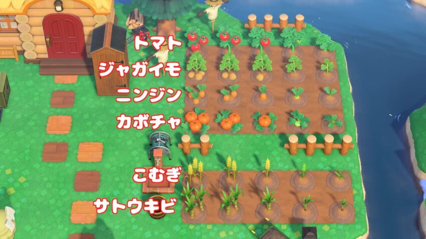 あつ森 2025年版 野菜の種類一覧と入手方法 あつまれどうぶつの森- アルテマ