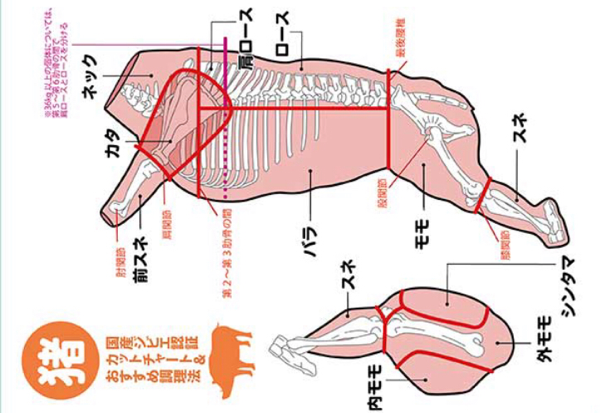 猪肉 ジビエ 熟成 希少部位 ヒレ肉 ブロック 約1kg 広島県産 備後地方 いのしし肉 イノシシ肉 ステーキ 焼肉 通販 自然食 天然食 広島県産 イノシシ 熟成 猪肉 特上ロース肉 ブロック 2kg - 備後ジビエ製作所