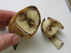 バナナが黒いと実は食べごろ！おいしくなるタイミングと驚きの効能を紹介 - E・レシピ 1 1ページ