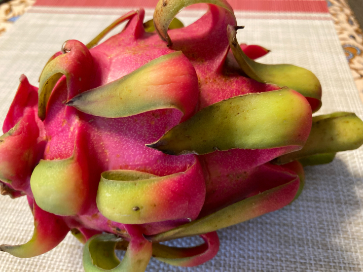ピンク色の食べ物第二弾‼️ピンク縛りで食べてみたよはるひなチャンネル