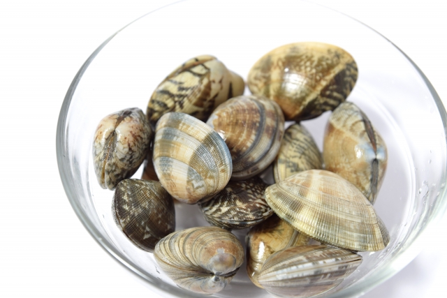 15分でOK！超時短「あさりの砂抜き方法」失敗しないための注意点や簡単レシピもみたい-まるはり×みたい-みつけて播磨 姫路、加古川など 情報サイト 旧：姫路みたい