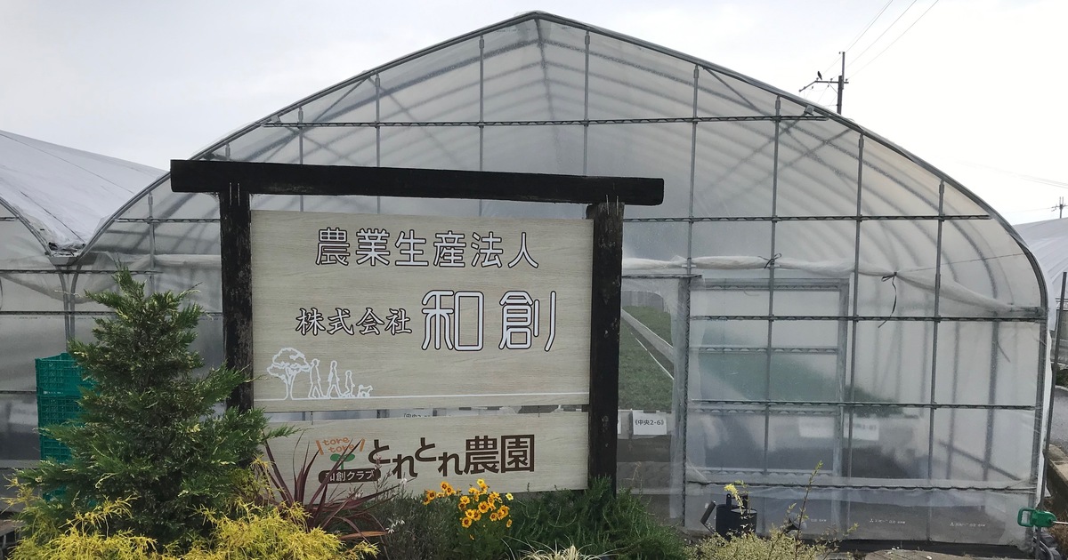 ビニールハウス栽培だからできる！安心・安定のイチゴ栽培_ シリーズ「最適な農業用ハウスで強固な経営」Vol.3アグリウェブ