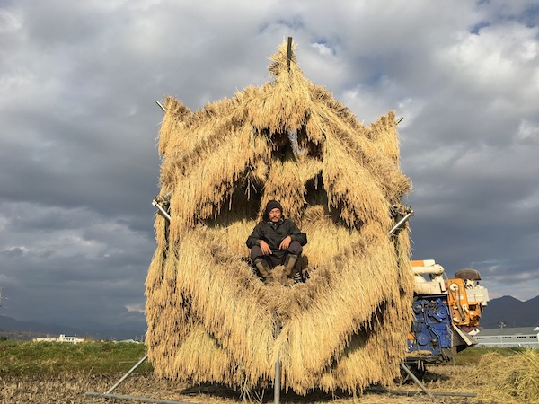 まとめ はざ はさ 掛け 稲干し台 による天日干しの方法、やり方 - 素人が趣味で始めた自然農お米作り