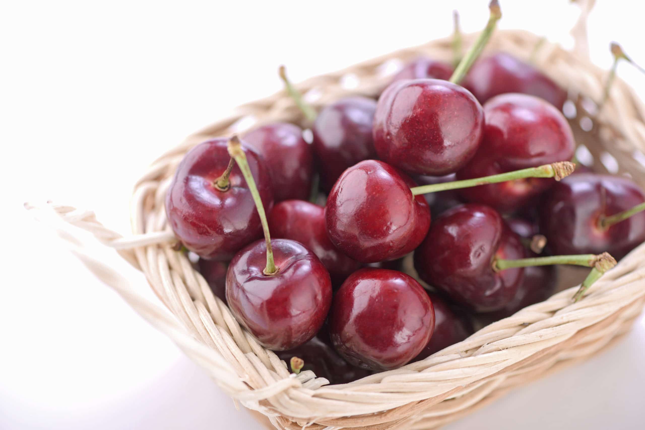 チェリー食べ比べギフトBOX アメリカンチェリー「ビング種」大玉約200g・山形さくらんぼ「佐藤錦」秀品Lサイズ約200g 送料無料 チェリーサクランボ 桜桃市場発送商品 販売終了産直だより