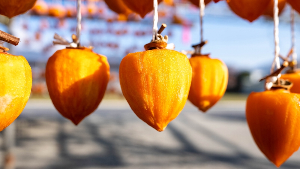 中がトロトロで最高に美味しい干し柿の作り方 時期・吊るし方・保存方法 おしえて！田舎センセイ