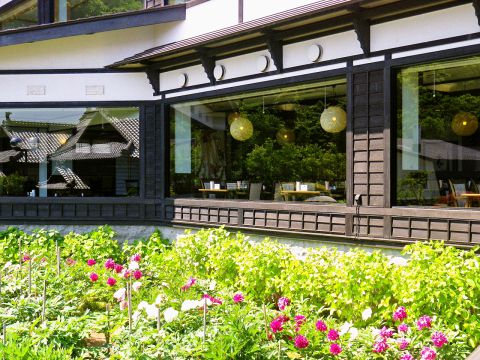 創業65年！名物の特大ニシンが人気の老舗店「青塚食堂」 小樽 Sitakke したっけ