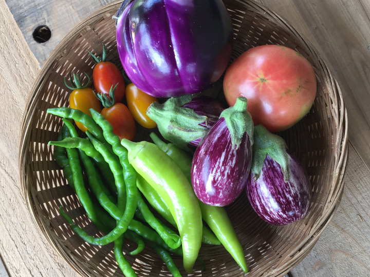 令和４年度・特別委員会 鹿児島港本港区の まちづくりに関する調査 行政調査報告 特 集