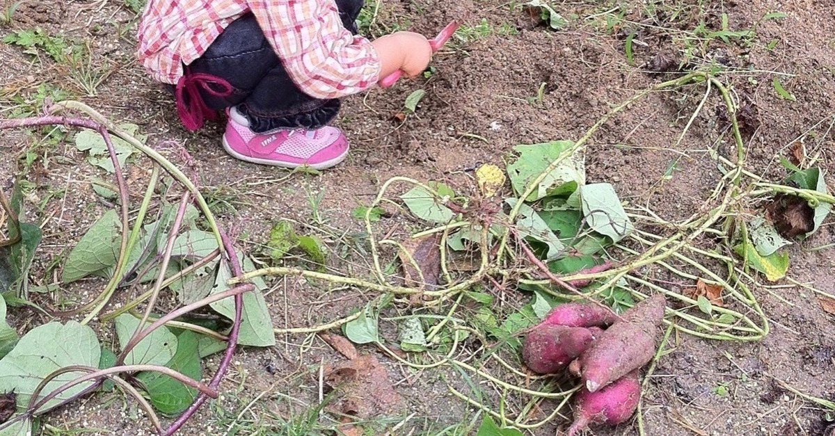 私は何者か、688おきふぴあの