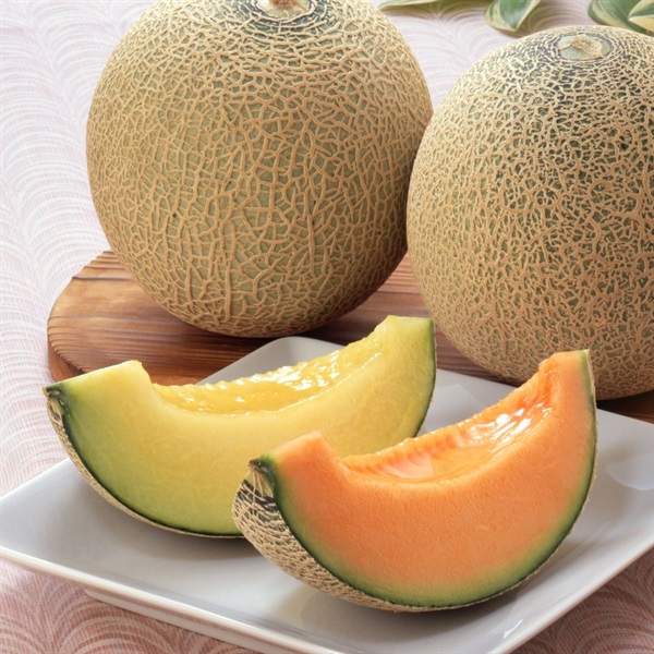 基本からアレンジまで！思わずつくりたくなる「お弁当 コーン かわいい」のレシピ集クックパッド