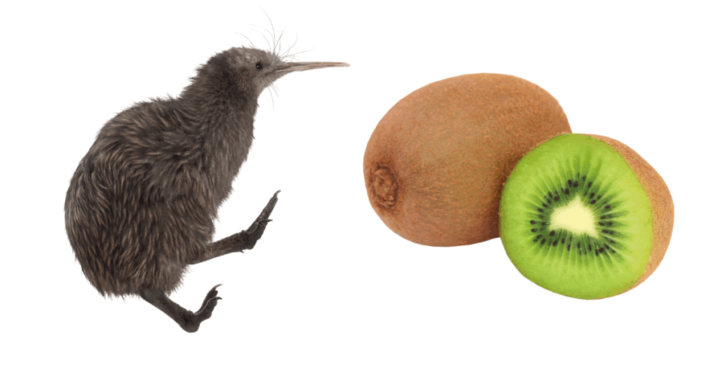 本日 10 7 の誕生花と花言葉とカエル☆diaryお気楽カエル☆－ｄｅ－かえるﾌﾞﾛｸﾞ