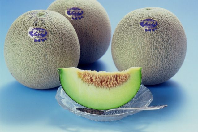 公式終完売産地直送 庄内砂丘メロン 秀品 予定販売数300野菜・くだもの 産地直送とれたて！美味いもの市アクセルクリエィション ショッピングモール