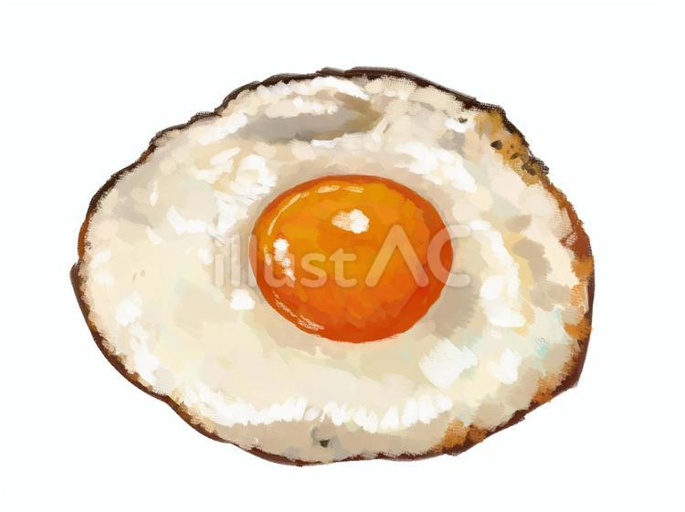 目玉焼きのフリーイラスト素材 - 無料のイラスト素材 タダ絵