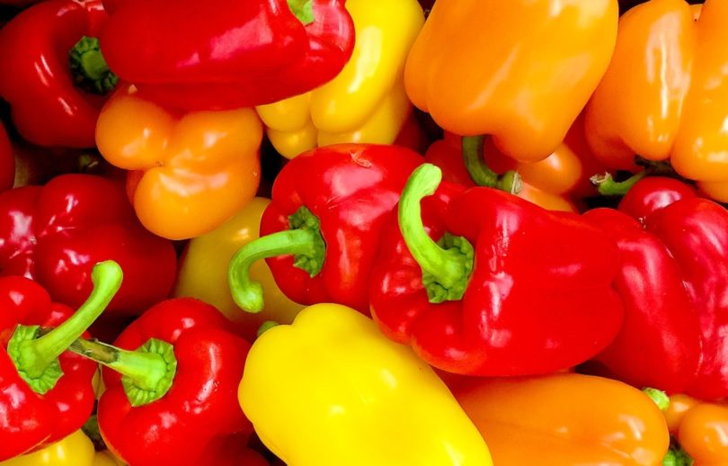 赤ピーマン💚の花が咲く園芸日記byかとちゃんずぼーみんなの趣味の園芸606729