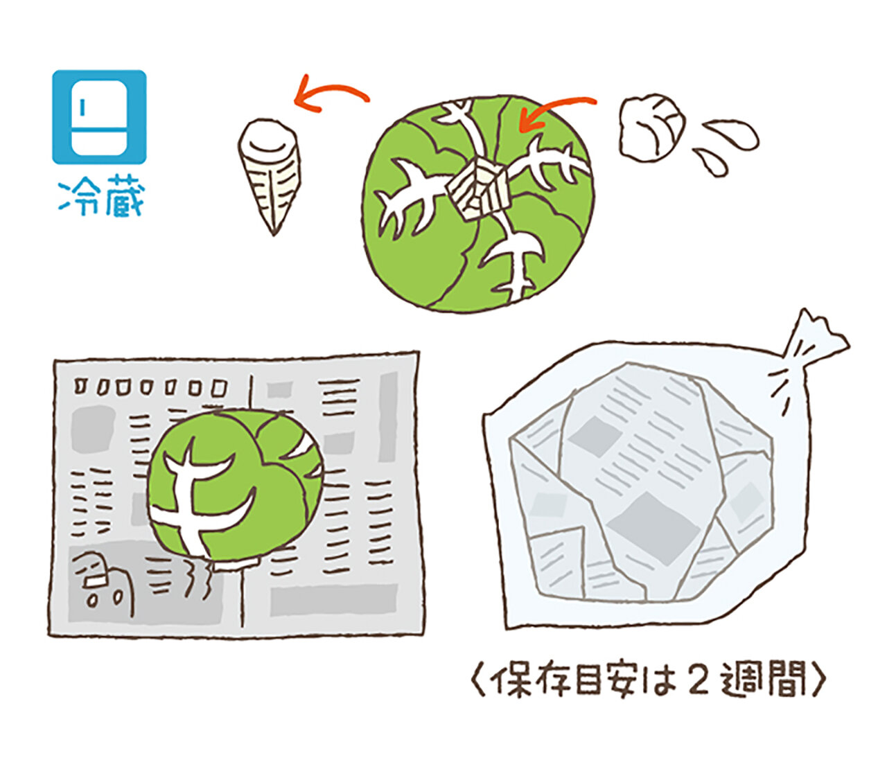 野菜の切りおき保存便利リスト！『野菜保存のアイデア帖』⑥ダ・ヴィンチWeb