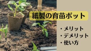 FISH VEGGIES ナスタチウムの葉3〜5cm 30枚程度 化学肥料 農薬不使用だから安心して食べられるFISHVEGGIES フィッシュベジ お魚が育てたお野菜