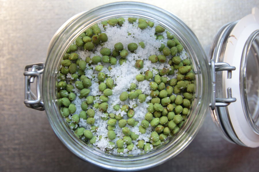 ぬか床に白・青・黒・赤などのカビが生えた祇園ばんや