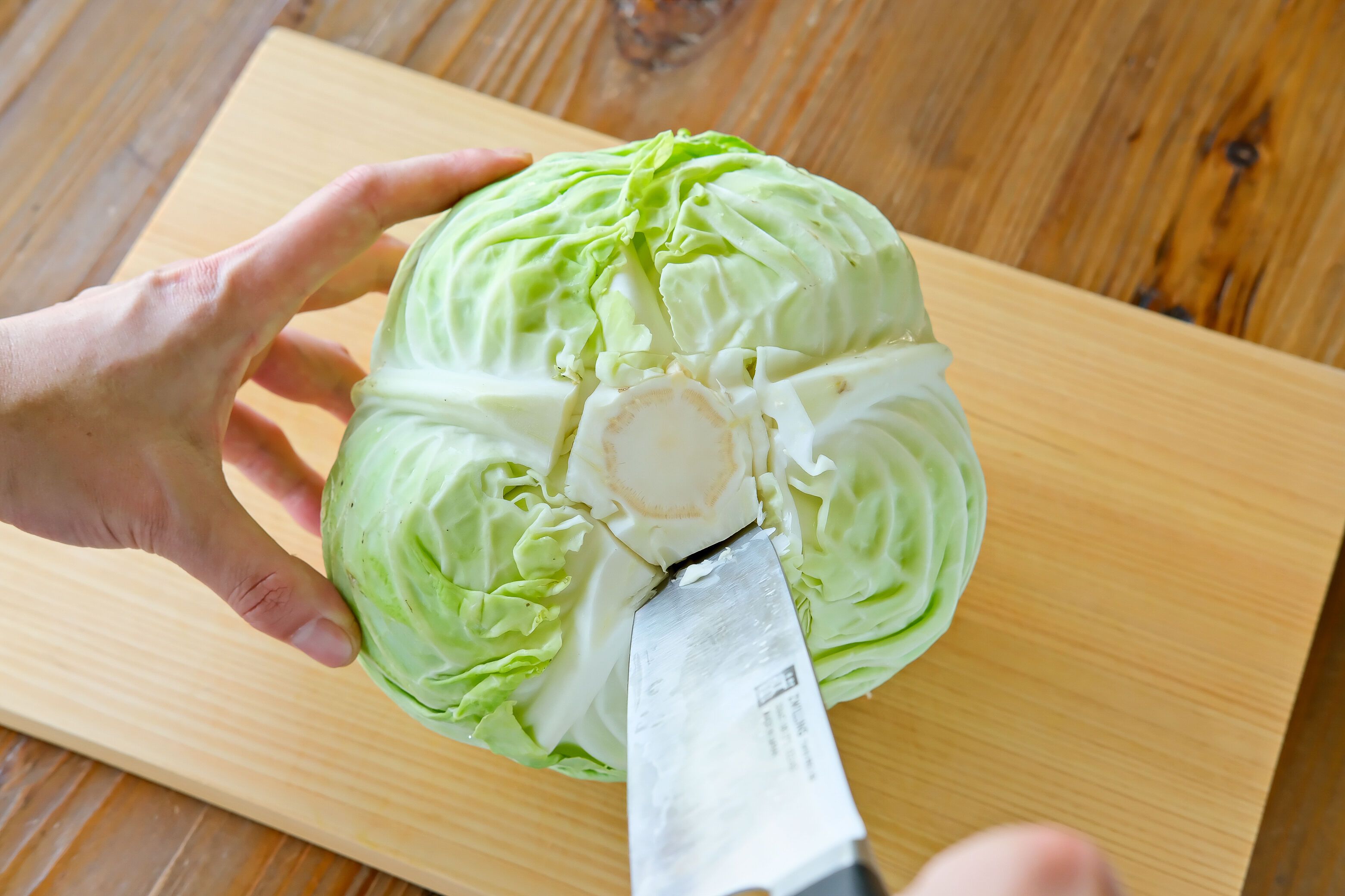 キャベツの切り方千切り・ざく切り・芯の取り方、切り方別のおすすめ料理も紹介 - トクバイニュース