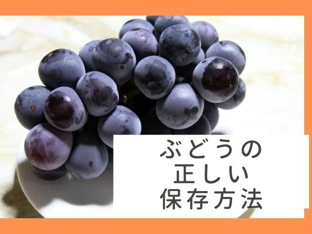 ぶどうの正しい保存方法は？美味しく日持ちさせるコツをご紹介！フルーツ山梨通信山梨の果物ギフト・オンライン直売なら、産地直送のJAフルーツ山梨公式通販で