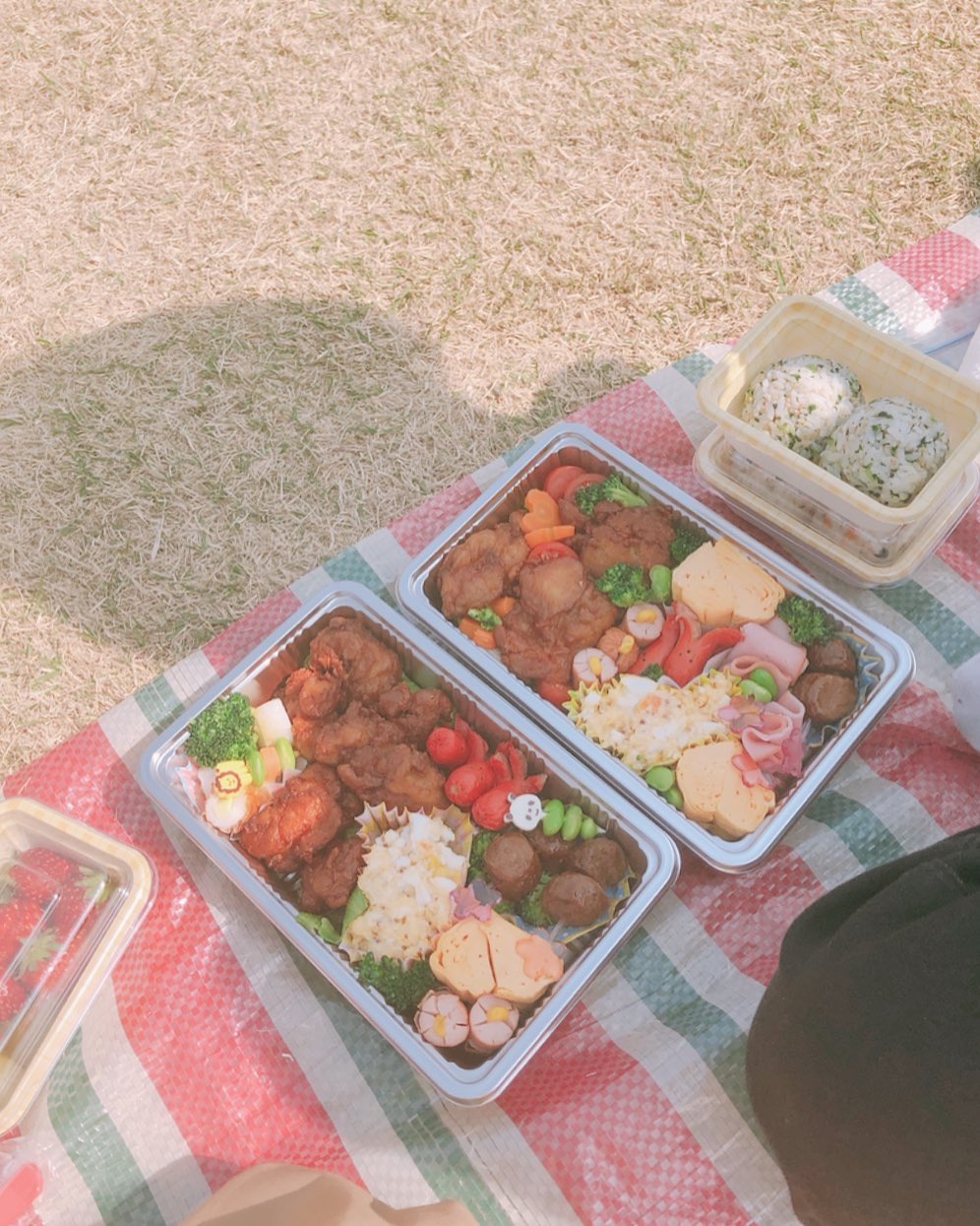 デートのお弁当で彼に喜ばれるレシピとポイント集