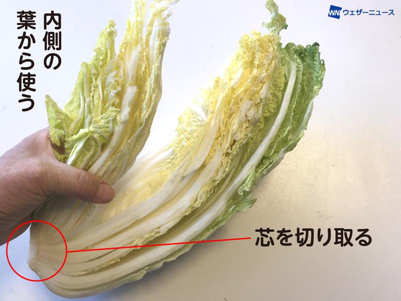 カット白菜は「内側から」食べるのが正解 外側からだとなぜNG？野菜のプロに聞いた 全文表示 Jタウンネット