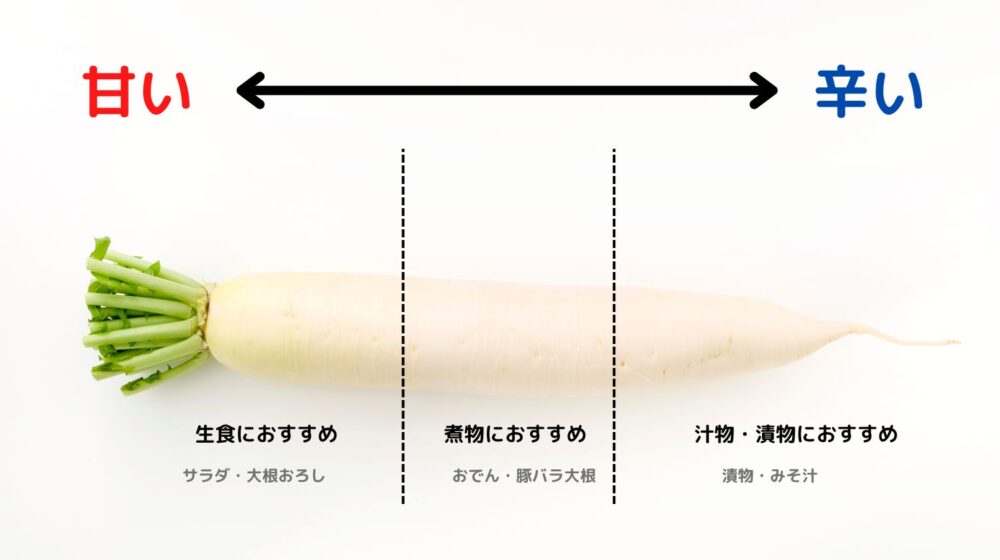 きれいを作る旬ごはんマードゥレクス