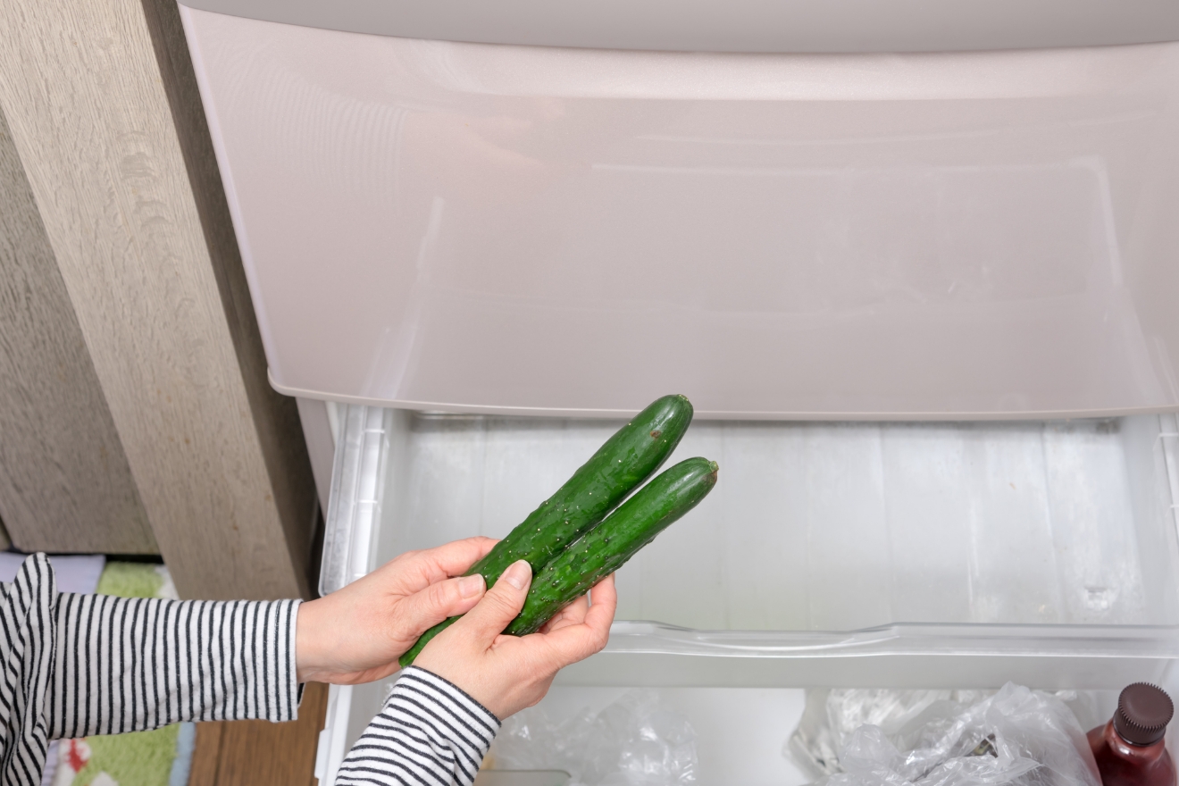 きゅうりの保存方法 野菜コラム