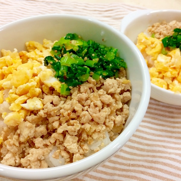 お弁当にもぴったり 3色そぼろ丼