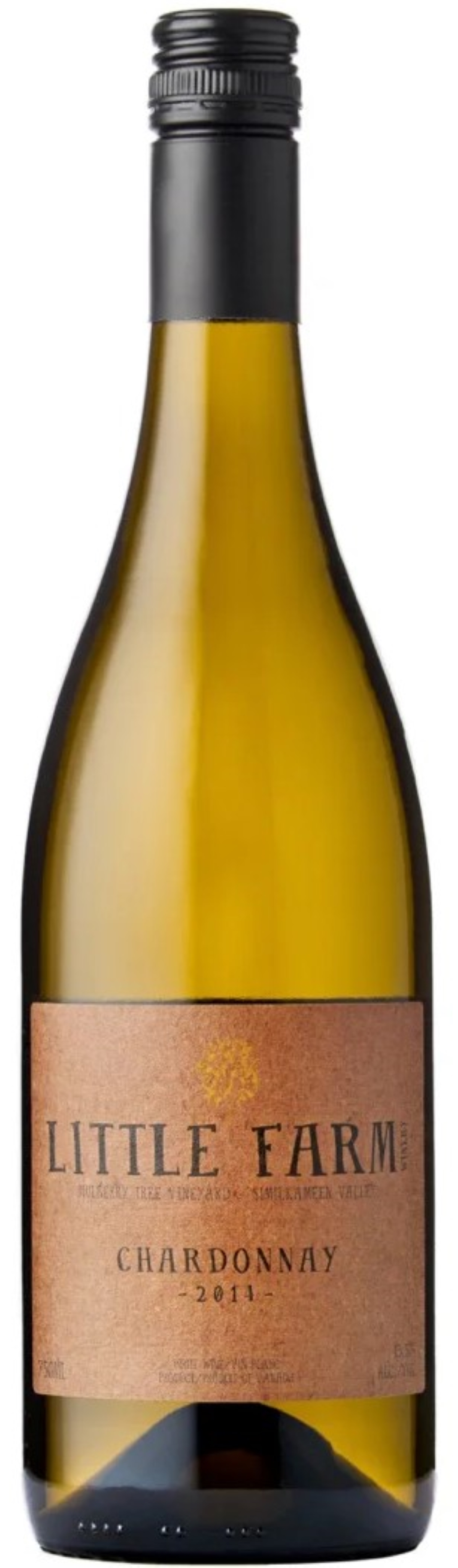 ミヒャエル・ギンドル リトル ブテオワイン通販の世界のワイン葡萄屋