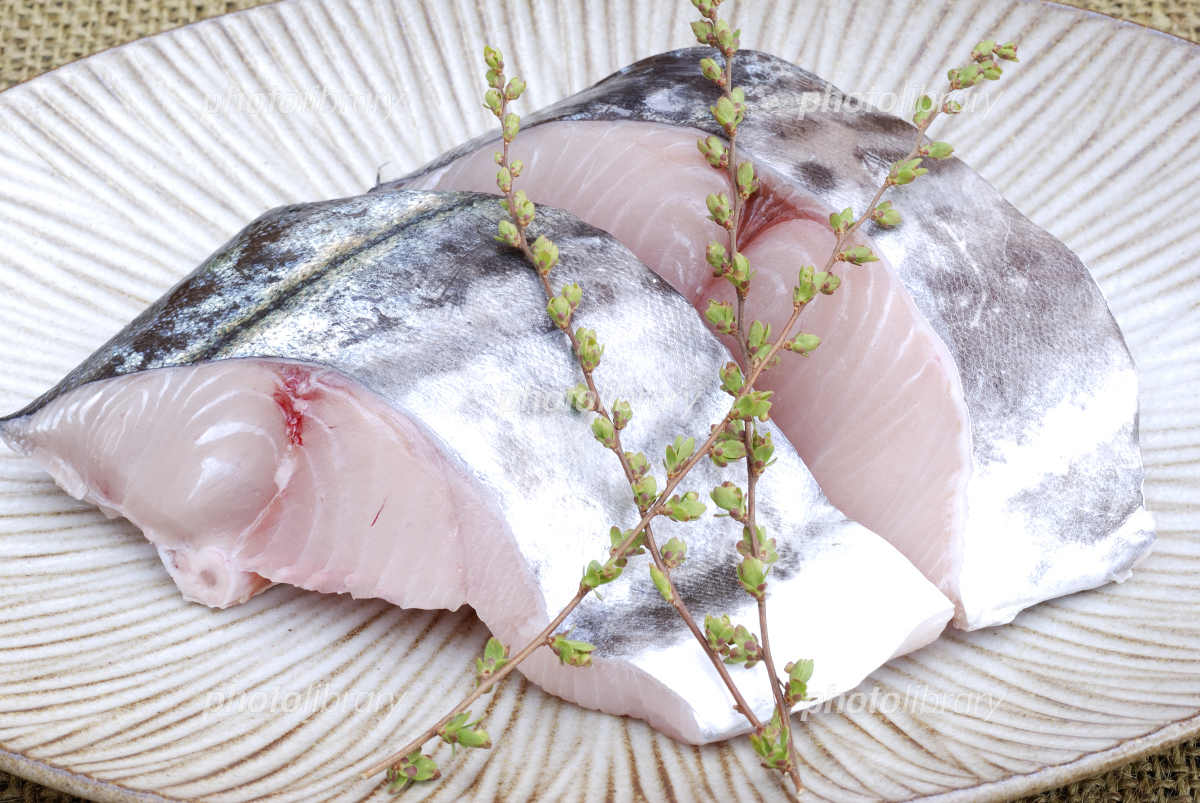 魚の切り身イラスト素材透過、PNGフリー画像ダウンロード - Pngtree