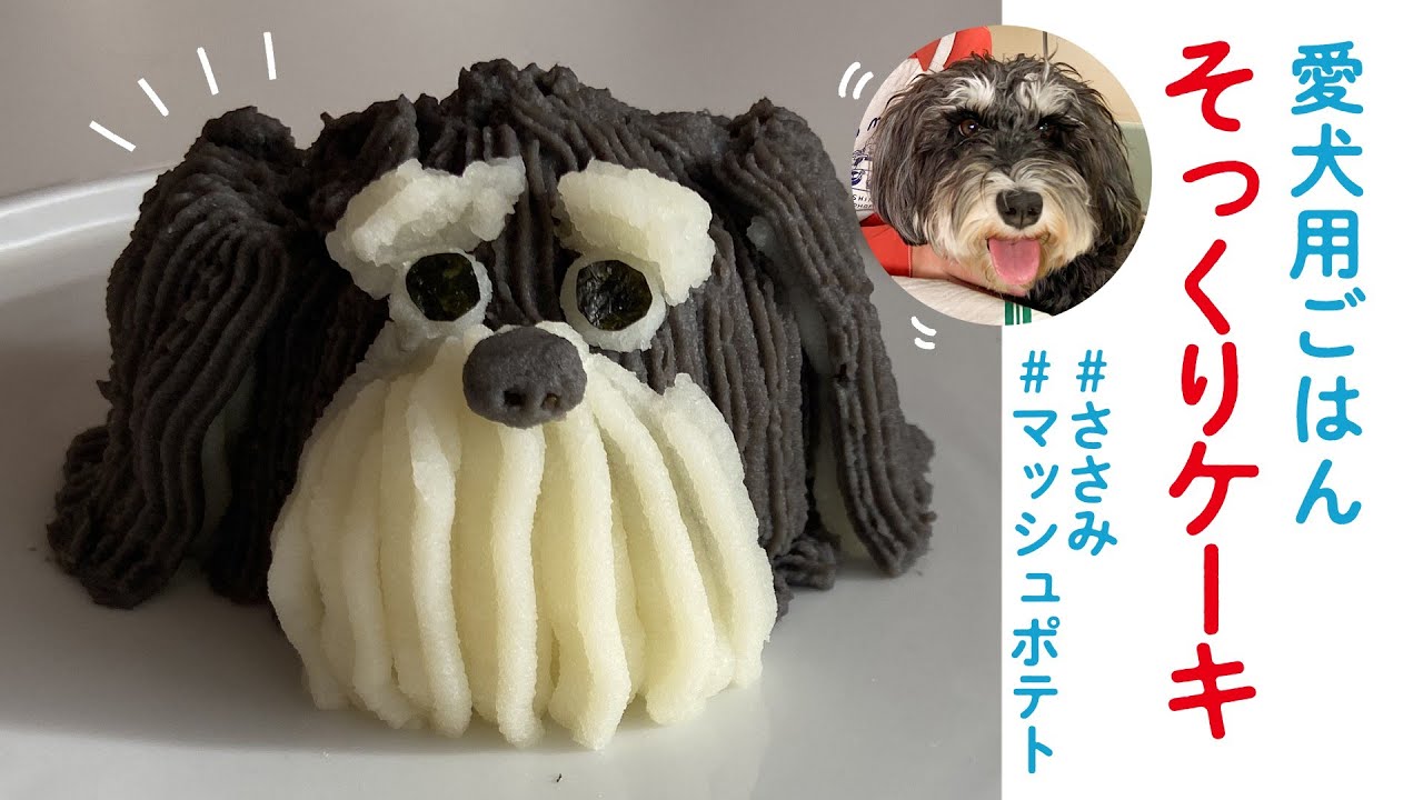 動物立体ケーキ 1種類2個から購入可能 動物ケーキ アニマルケーキ クリスマスケーキ パンダ、うさぎ、ヒヨコ、ぶた、その他動物ケーキ 結婚式 母の日卒園式 パーティ バレンタイン ホワイトデー お返しお菓子ROOM - my favorites