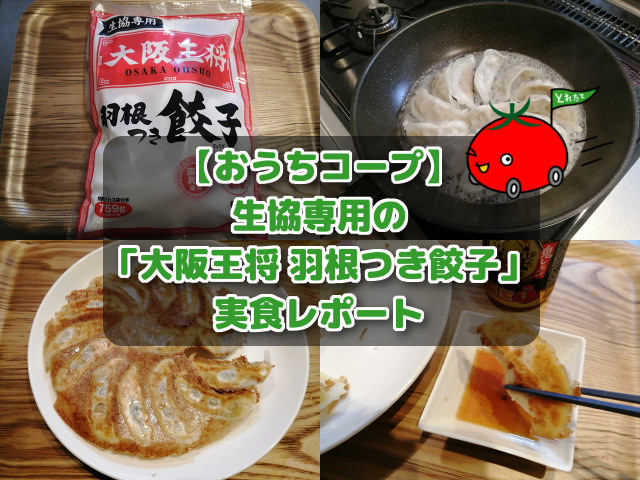 冷凍餃子の美味しい焼き方を3パターン