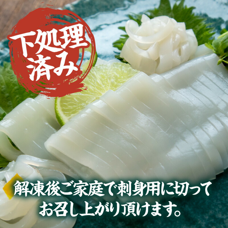 香住のイカの季節変遷☆ホタルイカ→マイカ→白イカ→赤イカ香住佐津温泉 民宿 美味し宿かどや公式ブログ