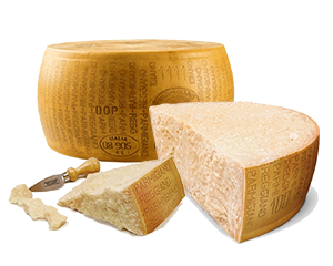 フェラリーニパルミジャーノレジャーノ 180g – 成城石井.com