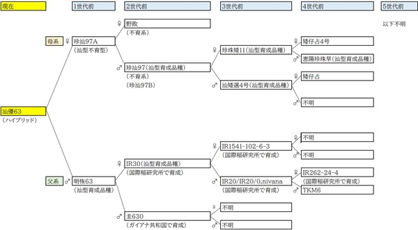 インディカ米の究極ガイド