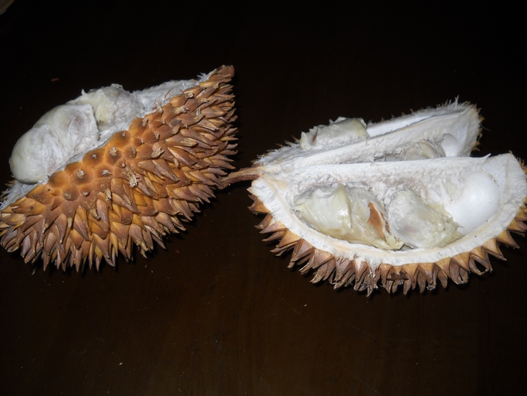 世界一臭い果物ドリアンを飛行機に持ち込もうとする → 断られる → ブチギレしてドリアン破壊 → その場で食い散らかすロケットニュース24