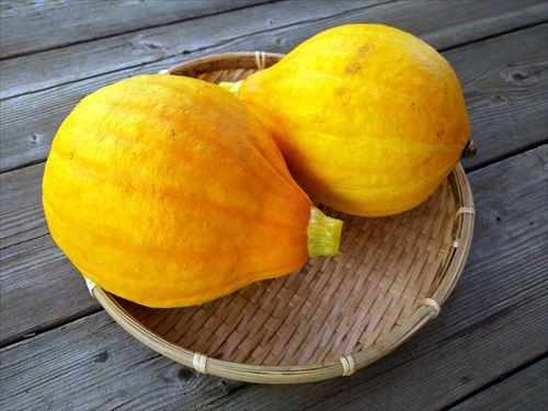 かぼちゃが含む栄養素は？効果やおすすめの調理方法を解説フリーズドライならアスザックフーズ公式通販