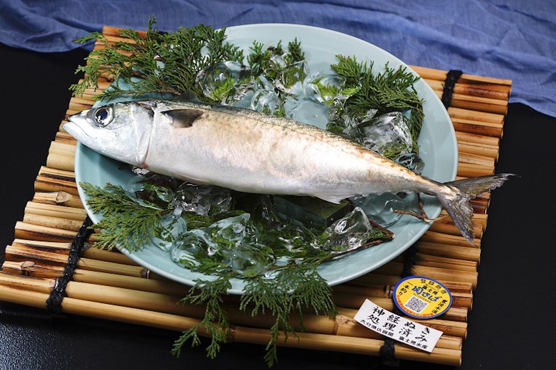 サバの刺身が食べられる！あまべの郷 関あじ、関さば、関ぶりの海鮮丼！大分県