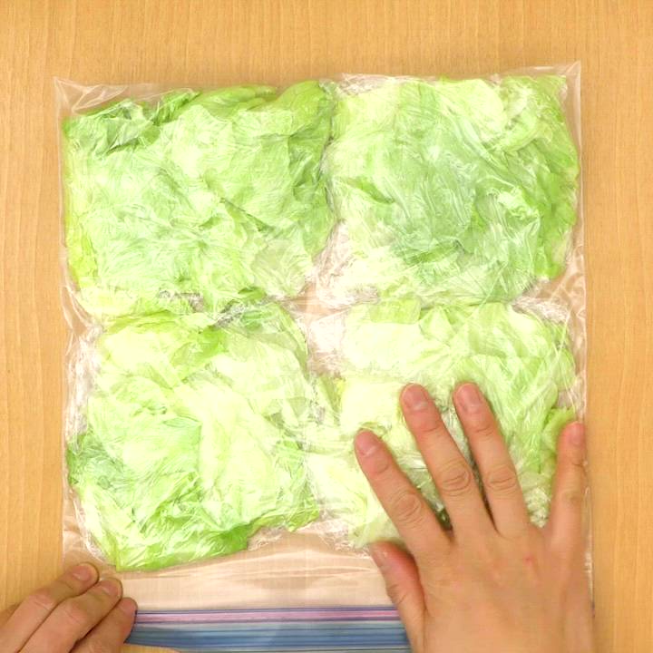 レタスって冷凍できるの？」 便利な保存法に「助かる」「真似する」 grape ｄメニューニュース NTTドコモ