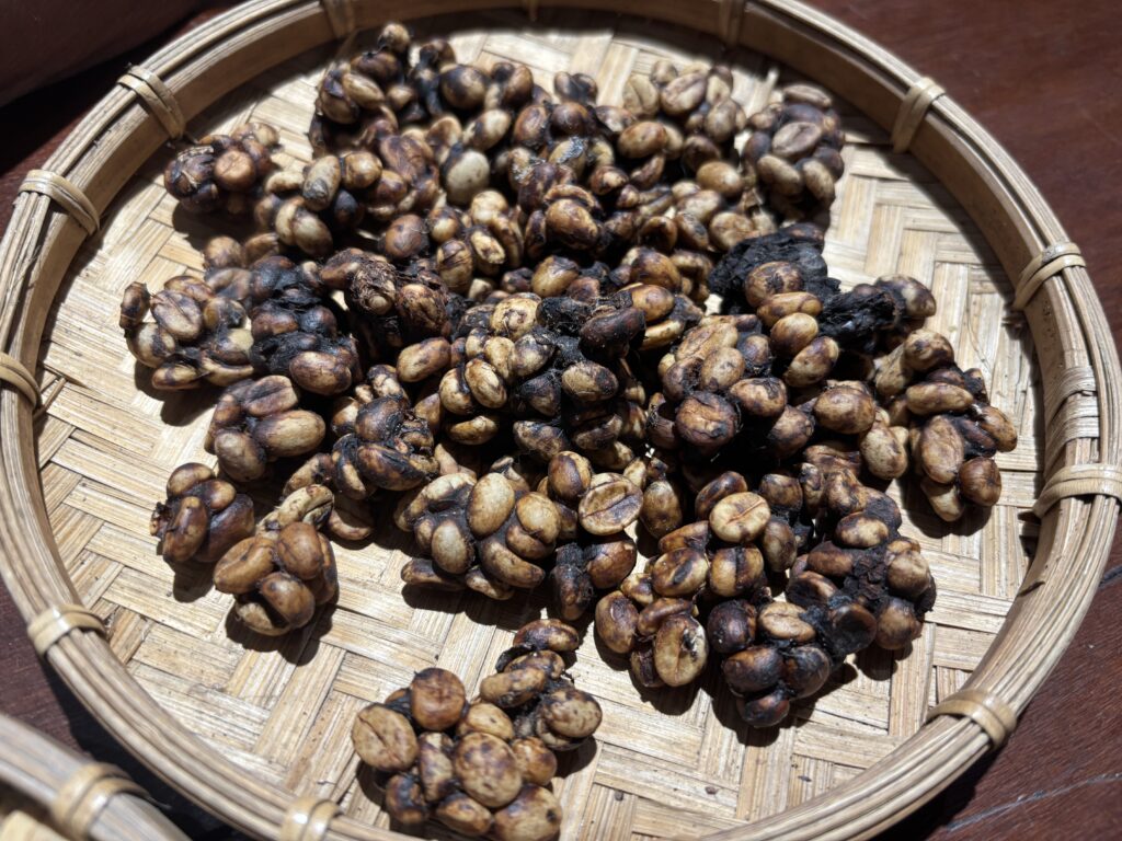 10 4 ジャコウネコのフンから作るコーヒー、販売するハロッズに非難の声 - Onlineジャーニ