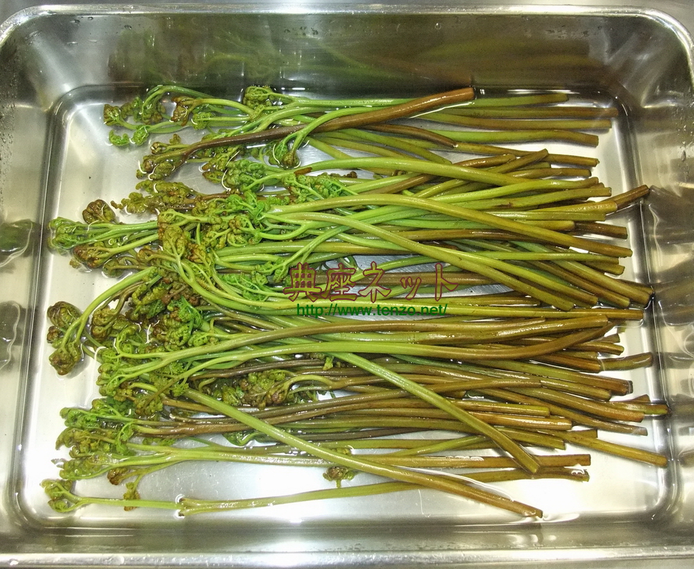 わらびの味噌汁 – 典座ネット〜旬の精進料理レシピ集