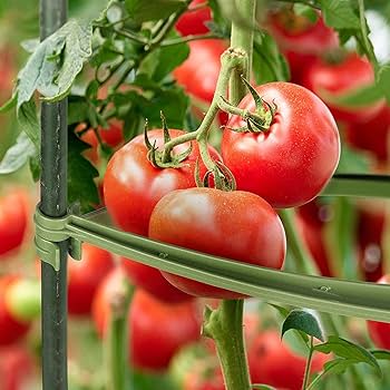トマト支柱今月のおすすめおすすめ商品相談できる農業・園芸資材専門店の JAファーム