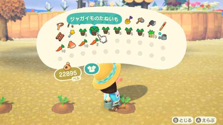 あつ森 野菜の入手方法と苗の種類売値 あつまれどうぶつの森 ゲームエイト