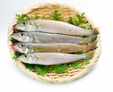 キス 鱚 きす - 語源由来辞典