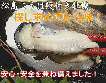 こんにちは🫧 本日は牡蠣のバター焼き入りクラムチャウダーのご紹介です🌿 外で冷えた寒い体に牡蠣の旨味と優しいクラムチャウダーが染み渡りますよ🦪🍲💭期間限定商品となっておりますので是非お早めにご賞味下さいませ🐾松島離宮松島松島観光松島海岸宮城